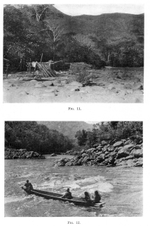 Fig. 11&mdash;A temporary shelter-hut on a sand-bar near the
great bend of the Urubamba (see map, 8 ). The Machiganga Indians use
these cane shelters during the fishing season, when the river is low.