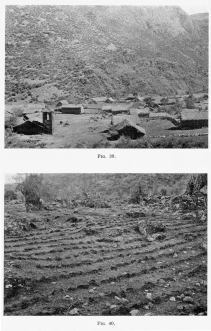 Fig. 39&mdash;Huichihua, near Chuquibambilla, a typical
mountain village, in the valleys of the Central Ranges, Peruvian Andes.