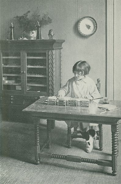 The Project Gutenberg eBook of The Montessori Elementary Material, by Maria  Montessori.