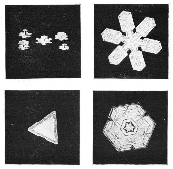 Fig. 19.  Snow crystals enlarged.