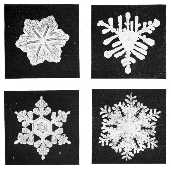 Fig. 20.  Snow crystals enlarged.