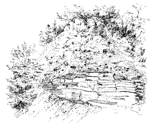Fig. 22. A glacial soil, containing numerous transported pebbles and boulders, resting on the bed rock.