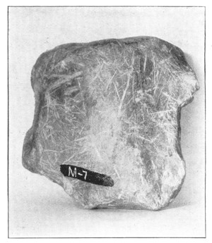 Fig. 25. A scratched limestone pebble taken from a glacial soil.