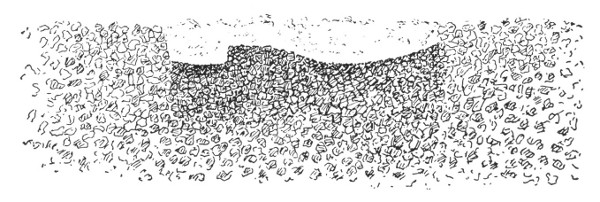 Fig. 38. A cross section through one of the foot-prints.