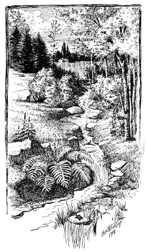 Fig. 42. The brook may be made the center of a life-theme.