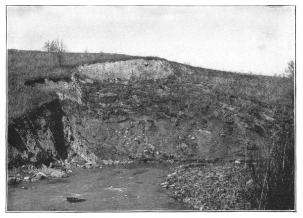 Fig. 43. A brook cutting under its bank and causing a landslide.
