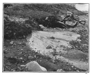 Fig. 45. A delta built by a tiny rill flowing from a steep clay bank.