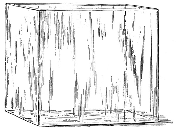 Fig. 56. A rectangular glass aquarium.