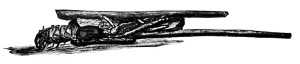 Fig. 76.  Case of caddice-worm