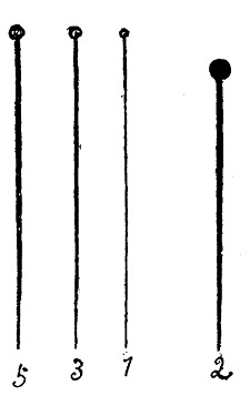 Fig. 130. Insect pins, 1, 3, 5, are German insect pins. 2 is a steel mourning pin.