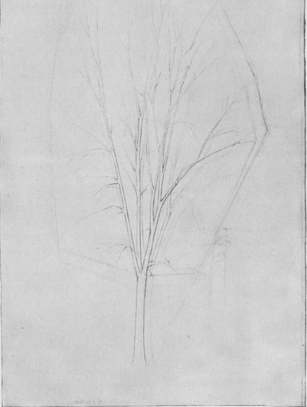 Fig. 213. Working in the details with sharp lines. The original pencil sketch is not followed exactly.