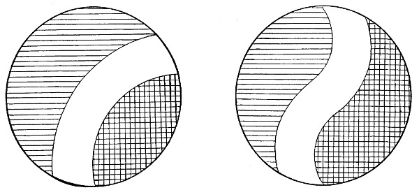 Fig. 369. Simple designs for bulb beds.