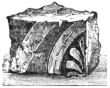 Fig. 11.—Enamelled Babylonian Brick. (Louvre.)