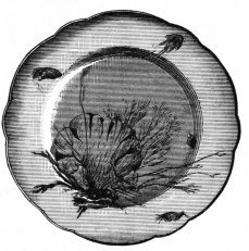 Fig. 19.—Limoges Porcelain Plate. Painted by Pallaudre.
(Thomas Scott Coll.)