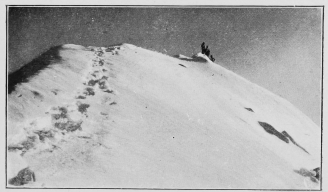 The summit of the Jungfrau. (P. 217.)

To face p. 235.