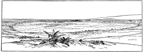 Fig. 8. View of the Crater of Kilauea from the
Volcano House