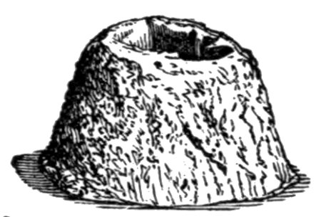 Fig. 37. Bee Hive