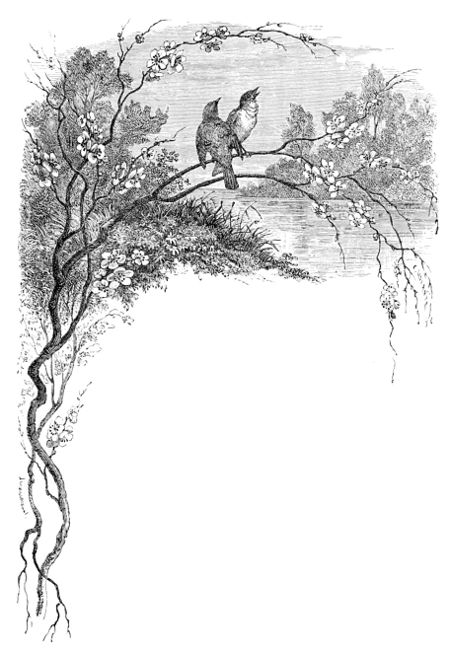 The Project Gutenberg eBook of The Bird, by Jules Michelet.