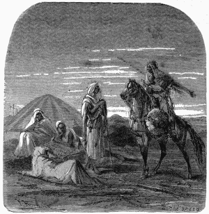 Bedouin Shepherds and Bedouin Nomades.