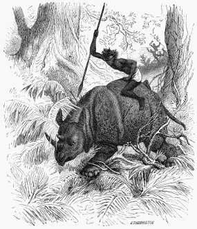 Kaffir Hunter carried off by a Rhinoceros.