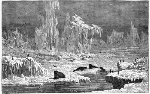 THE DESERT OF ICE (ARCTIC POLE).