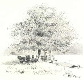 One of the Wells on the Site of the Prison.  From a photograph
by the Rev. E. H. Brown, July 1910