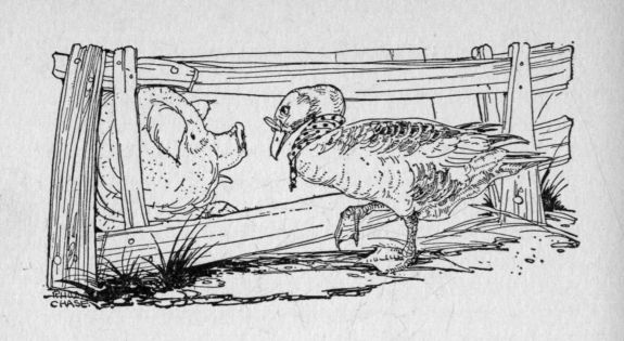 headpiece to The Wise Old Gander