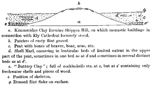 Diagram Section across Shippea Hill
