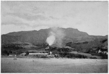 The Sugar Mill Near St. Pierre Martinique