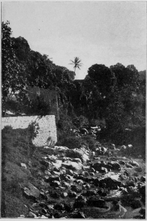 The Rivière Roxelane Near St. Pierre, Martinique