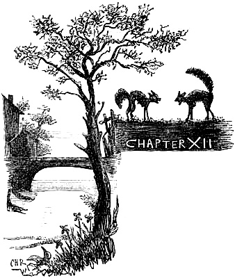 CHAPTER XII.