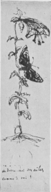 THE FLOWER AND THE BUTTERFLY.
Drawing by Victor Hugo for Juliette (Victor Hugo Museum).