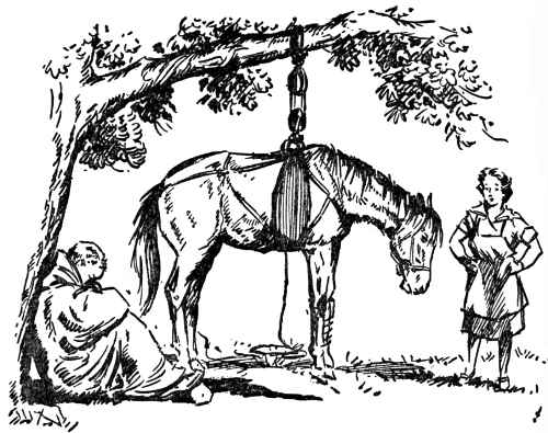 Horse in a sling
