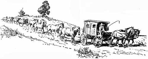 Caravan of horse trader