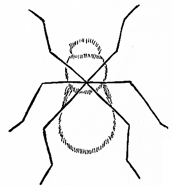 drawing diagram