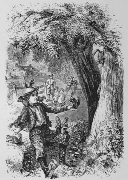 Bob sat on a log with
squirrels upon his shoulders, head, knees, hands, and boots.