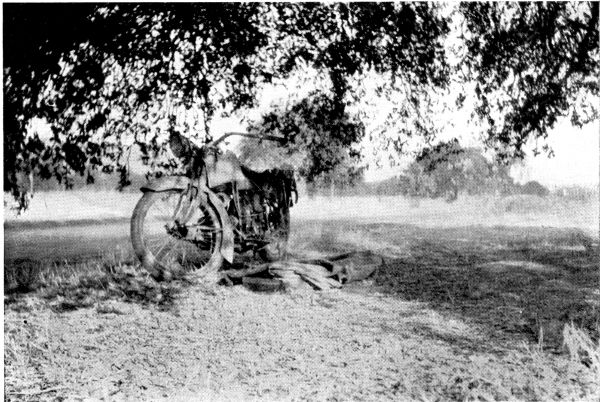 Motorcycle under a tree.