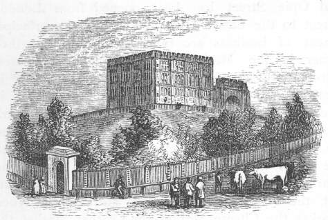 Norwich castle