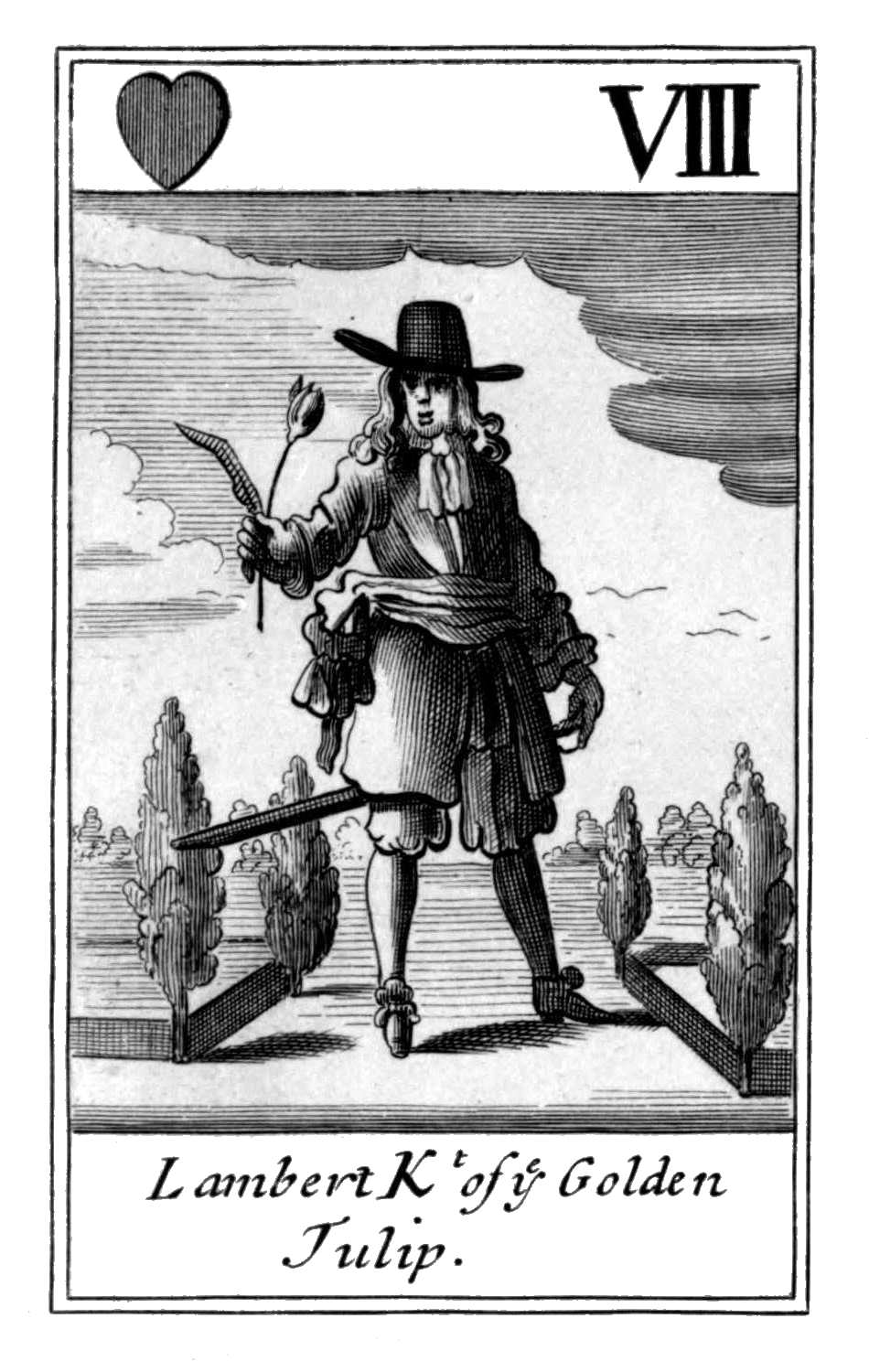 Eight of Hearts. Lambert Kt of ye Golden
Tulip. Eight of Hearts. Lambert Kt of ye Golden
Tulip.