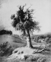 BRADDOCK’S GRAVE

FROM PAINTING BY PAUL WEBER, 1854