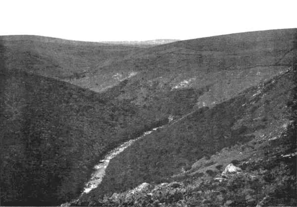 The Upper Dart, from the Moors