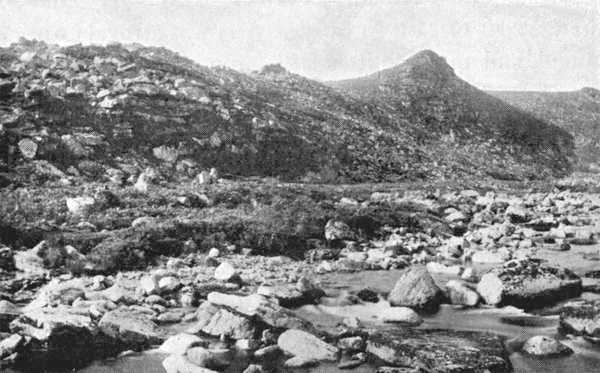 Tavy Cleave, showing disintegrated granite