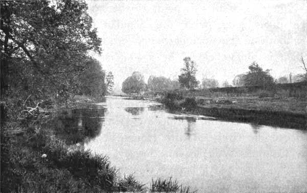 The River Exe at Tiverton