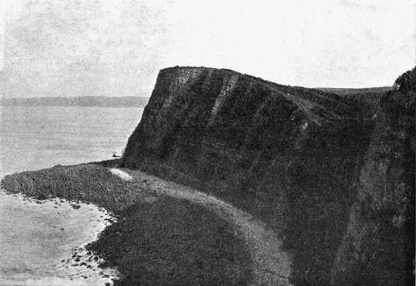 Cliffs near Clovelly