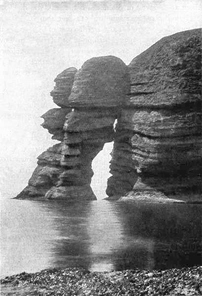 Parson and Clerk Rocks, Dawlish