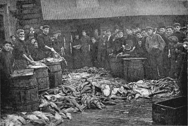 Fish Market at Brixham