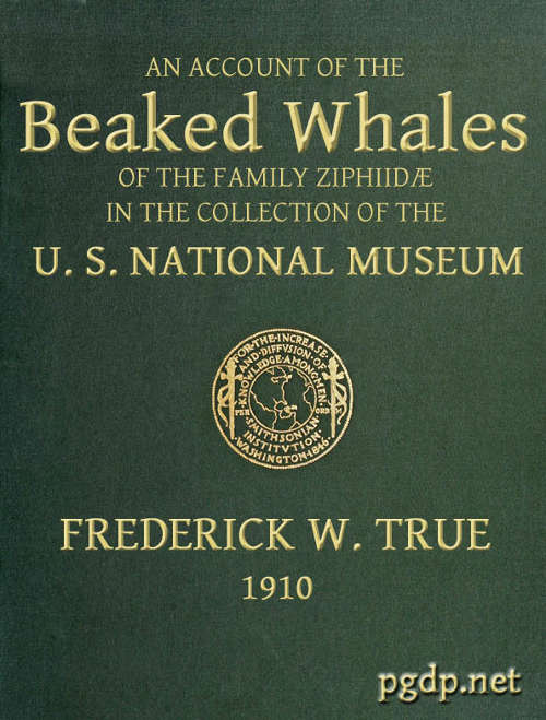 An Account of the Beaked Whales of the Family Ziphiidæ in the Collection of the United States National Museum