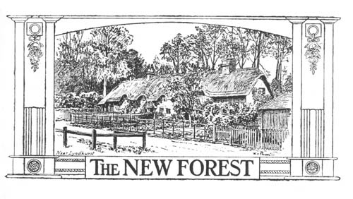 Illustration: The New Forest