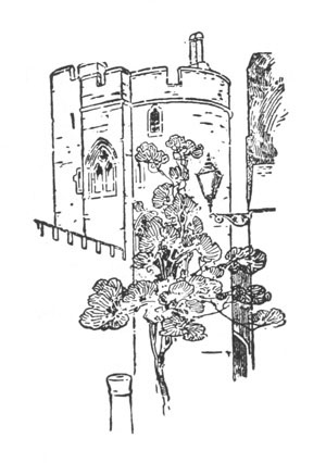 Illustration: Sketch of a castle tower