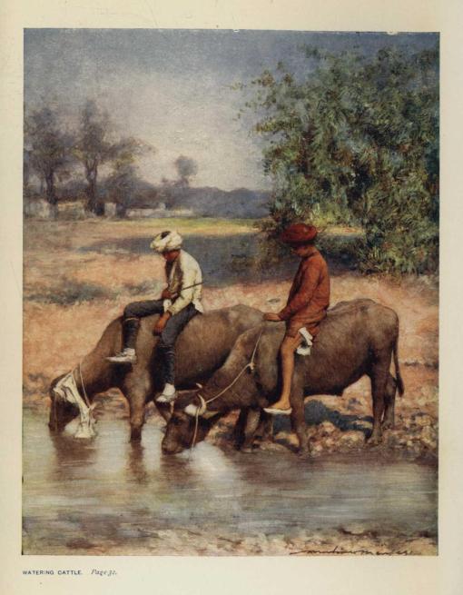 WATERING CATTLE.  *Page 32*.